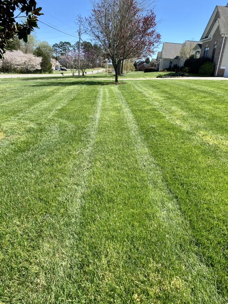 Professional landscape installation in Elkin, NC - Aguilera Lawn Service