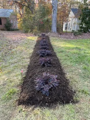 Aguilera Lawn Service