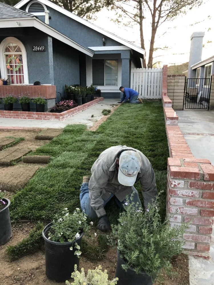 Reliable yard cleanup service experts serving Santa Clarita, CA - Aguilera's Lawn Care & Irrigation