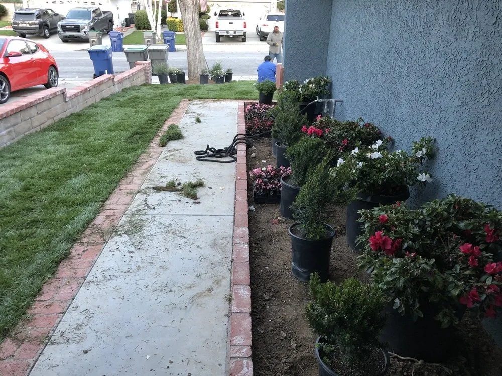 Local yard cleanup service in Santa Clarita, CA - Aguilera's Lawn Care & Irrigation