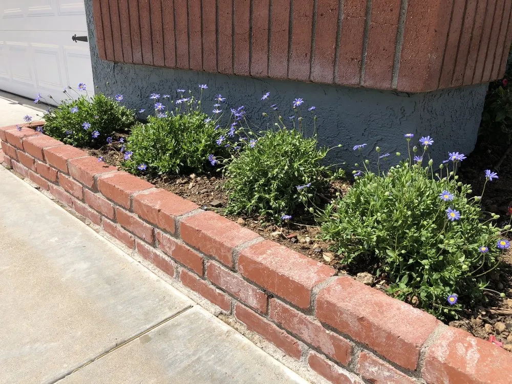 Professional lawn mowing service in Santa Clarita, CA by Aguilera's Lawn Care & Irrigation