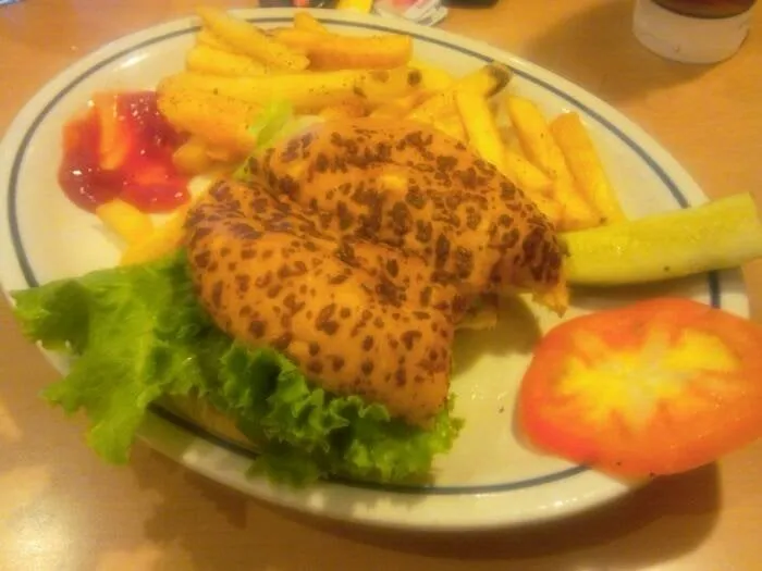 Custom outdoor landscaping for residential properties across Santa Clarita, CA - Aguilera's Lawn Care & Irrigation