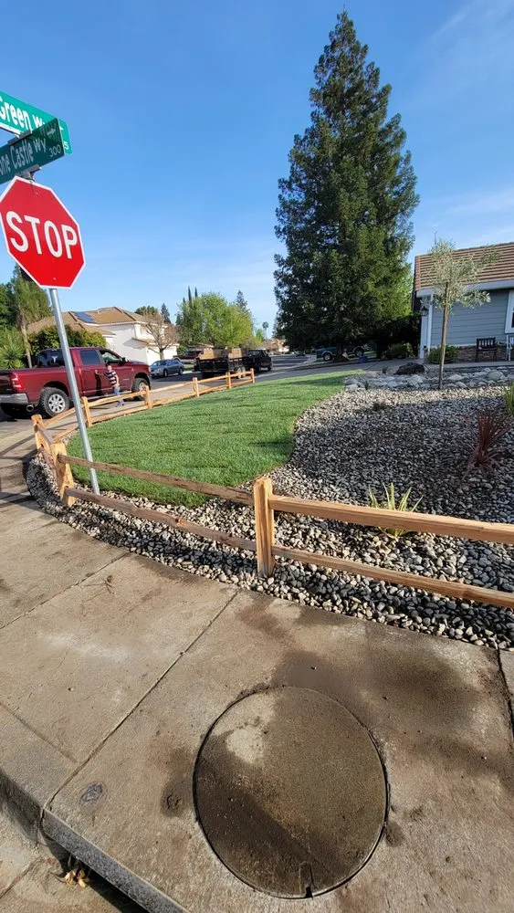 Professional yard cleanup service in Vacaville, CA by Aguilera's Tree Service