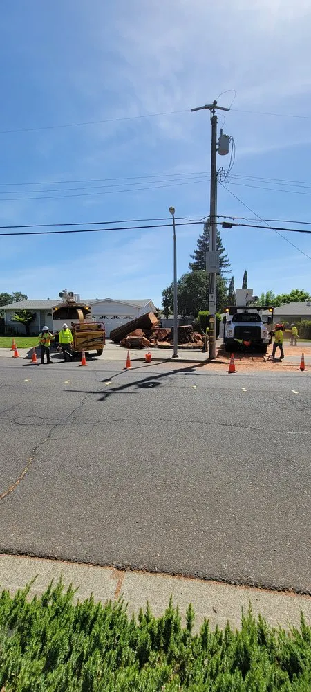 Top-rated lawn mowing service experts serving Vacaville, CA - Aguilera's Tree Service