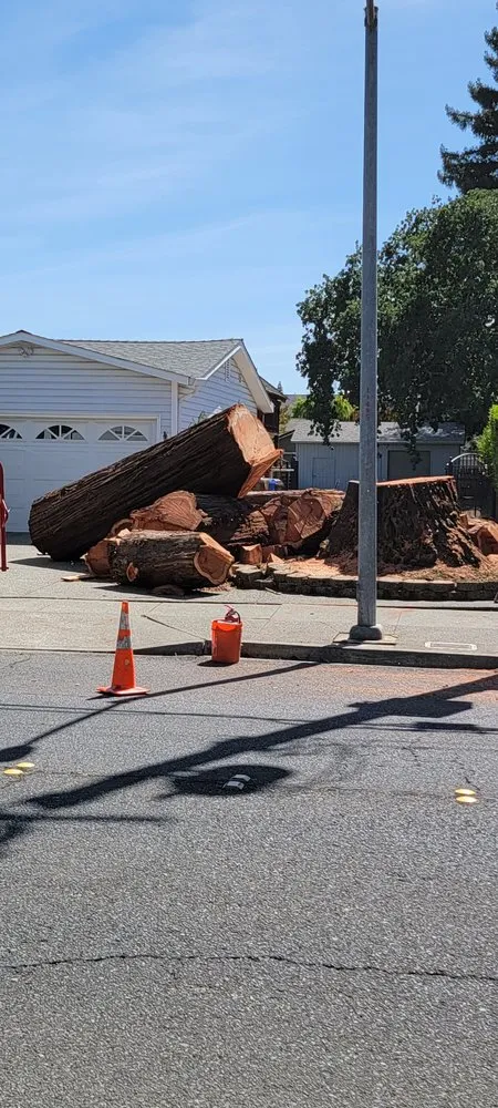 Custom lawn care service for year-round maintenance across Vacaville, CA - Aguilera's Tree Service