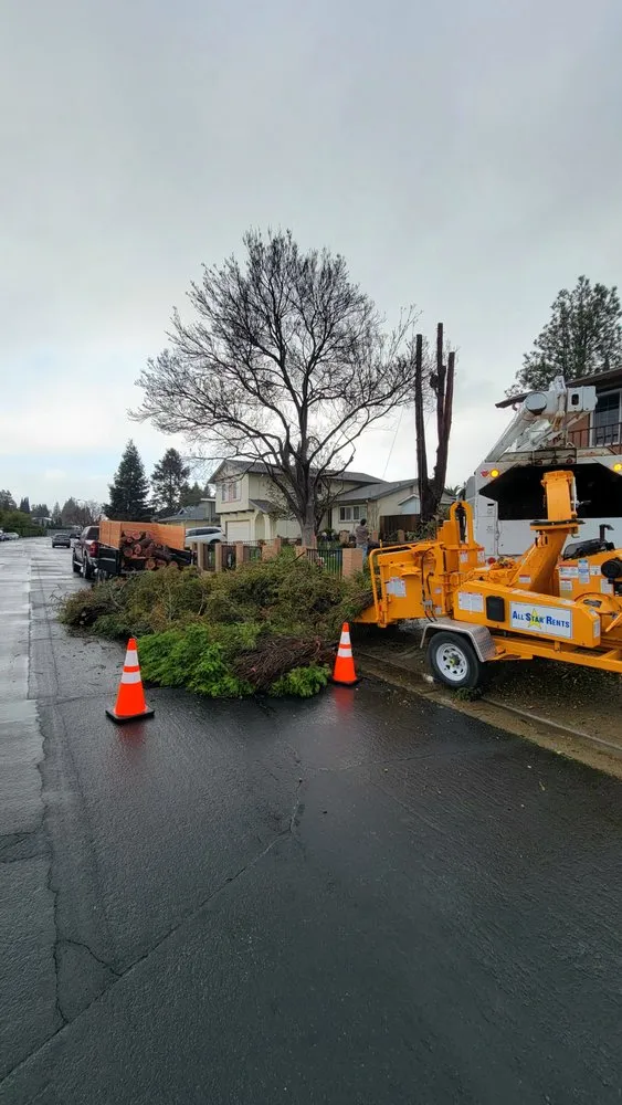 Local landscaping services for residential properties across Vacaville, CA - Aguilera's Tree Service
