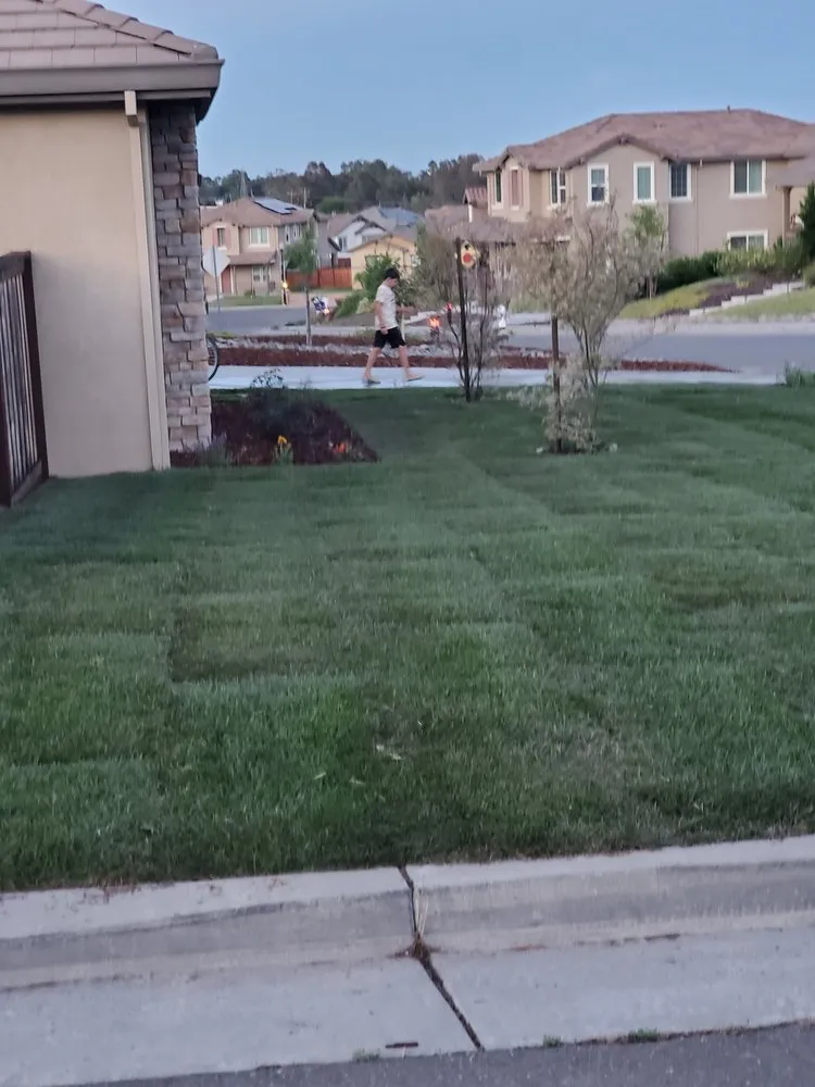Trusted landscaping services in Vacaville, CA - Aguilera's Tree Service