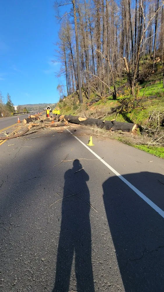 Trusted outdoor landscaping in Vacaville, CA by Aguilera's Tree Service