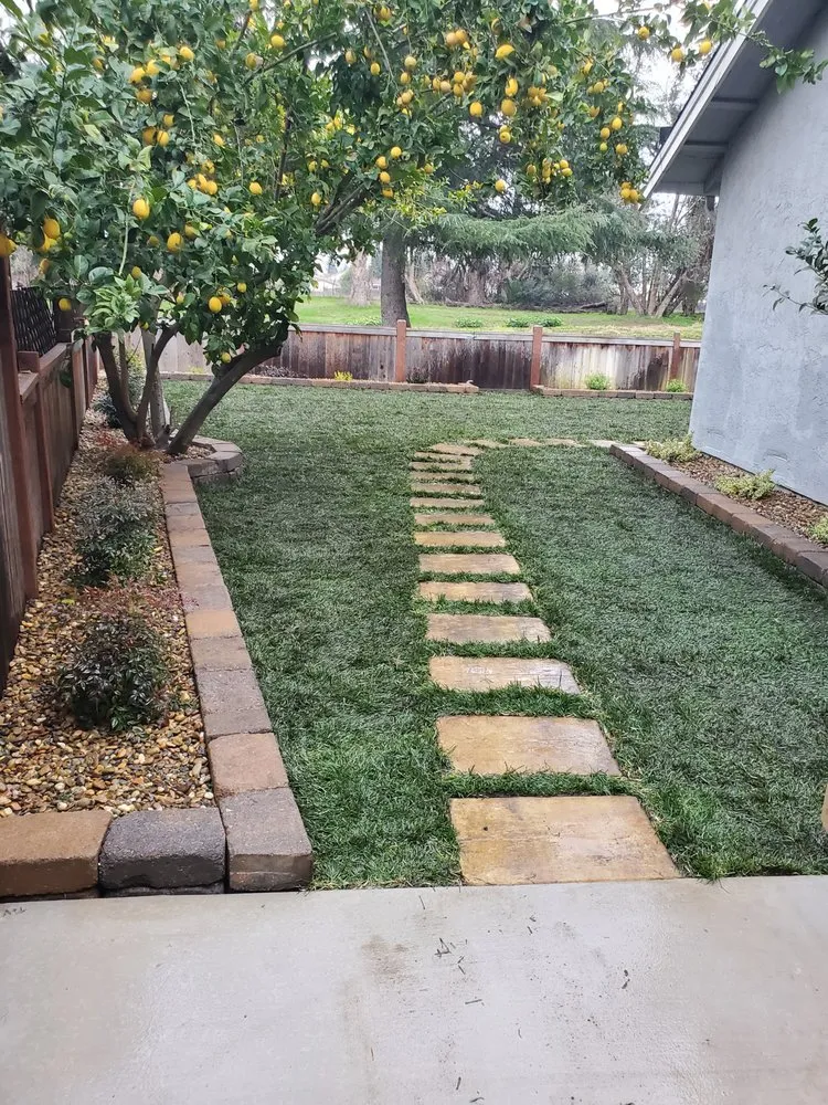 Affordable landscape design in Vacaville, CA by Aguilera's Tree Service