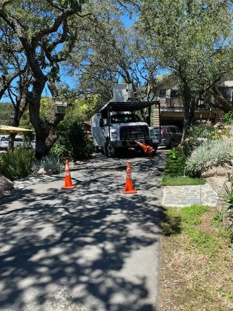 Reliable residential landscaping in Vacaville, CA by Aguilera's Tree Service