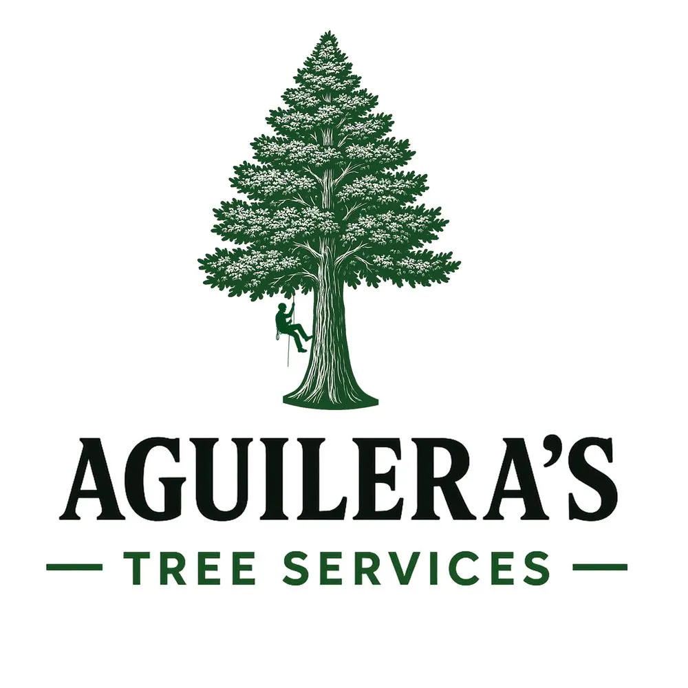 Affordable lawn mowing service in Vacaville, CA - Aguilera's Tree Service