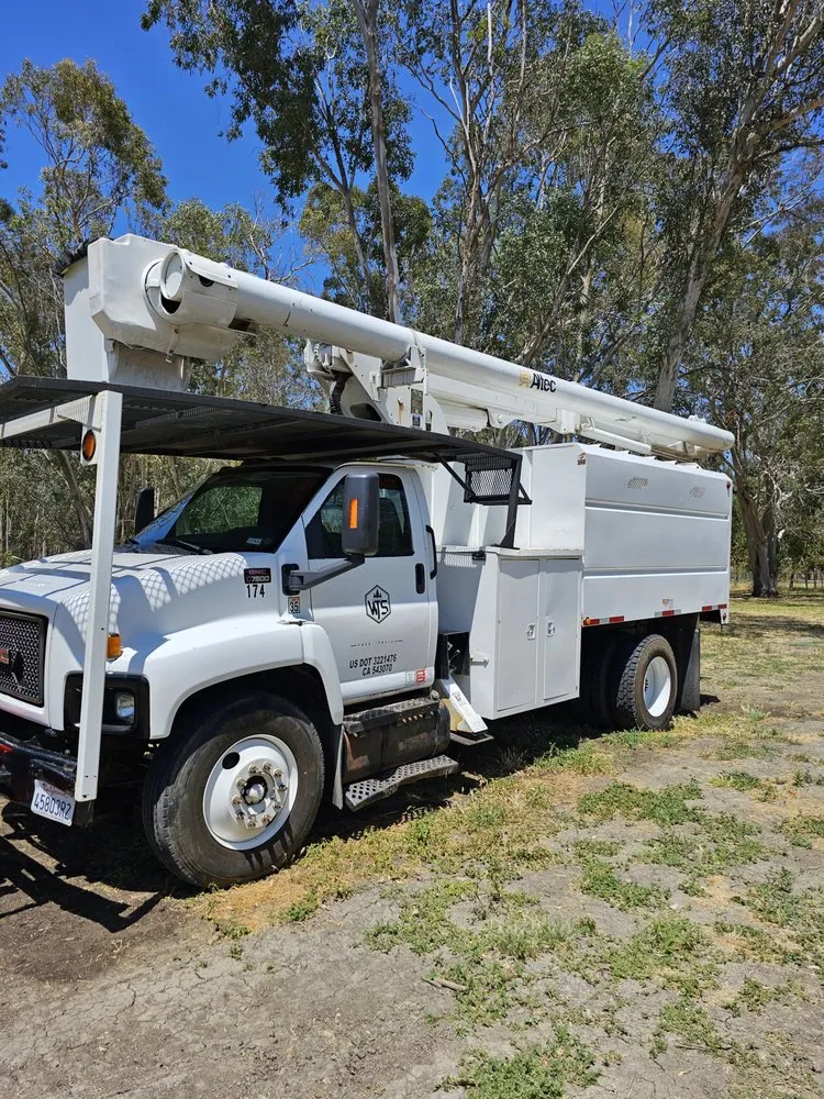 Reliable yard cleanup service experts serving Vacaville, CA - Aguilera's Tree Service