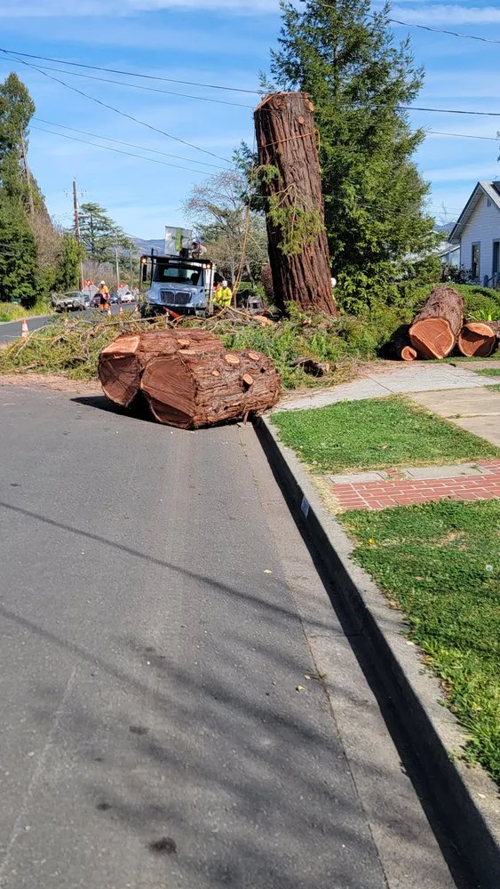 Local garden landscaping with custom design across Vacaville, CA - Aguilera's Tree Service