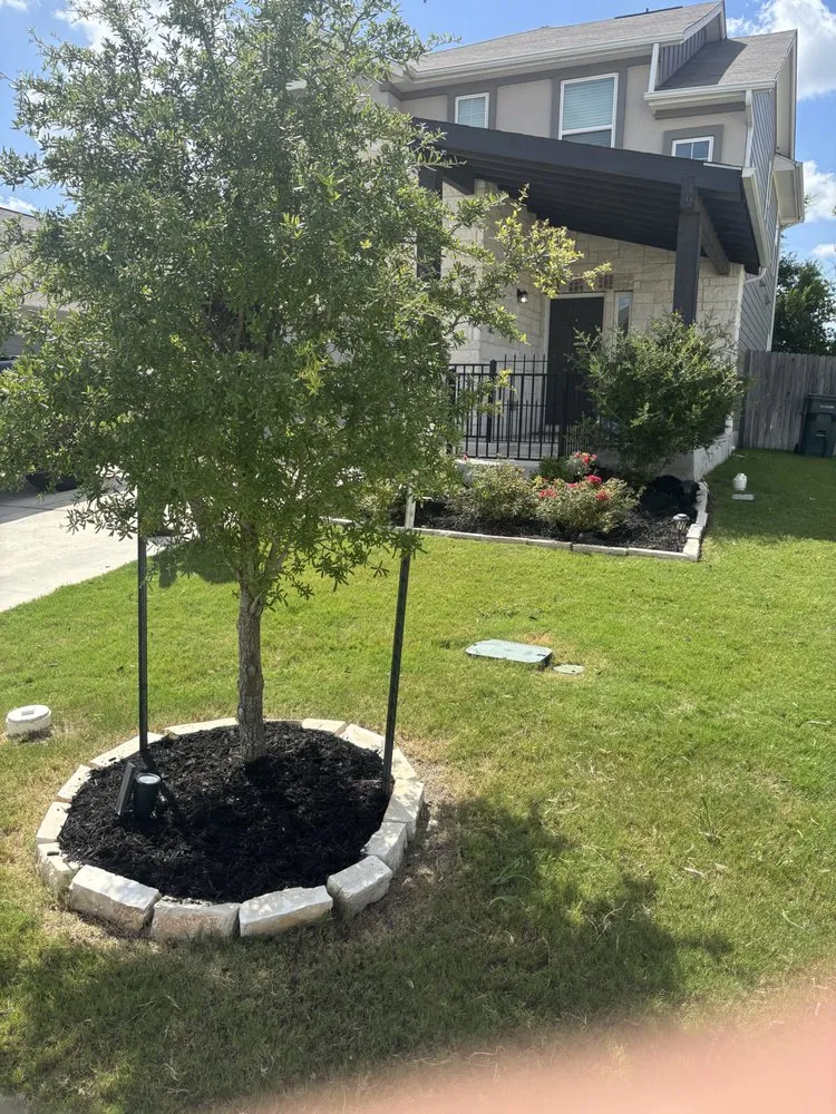 Affordable landscaping services for residential properties across Kyle, TX - Aguillon Landscaping