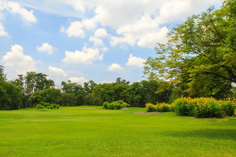 Affordable landscape installation for homes in Santa Clara, CA by Aguirre & Associates Landscaping