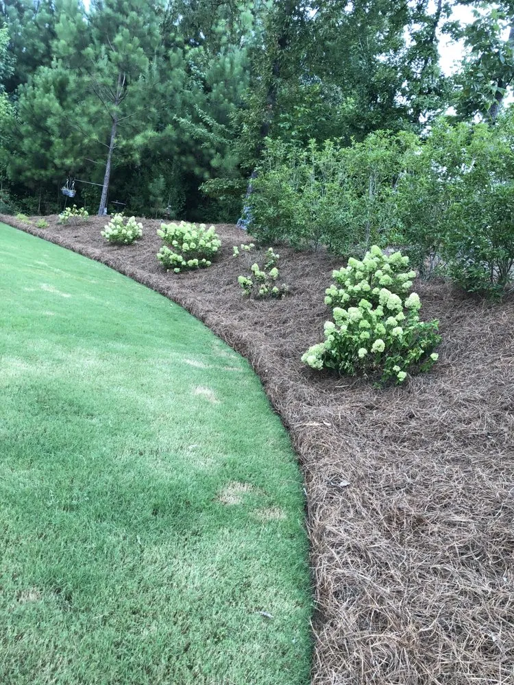 Custom outdoor landscaping for year-round maintenance in Alabaster, AL by Aguirre Lawn Care and Landscaping
