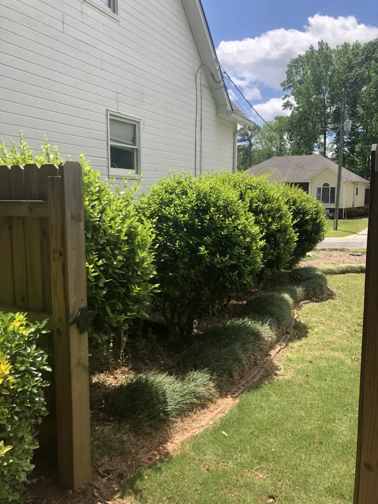 Trusted lawn mowing service for year-round maintenance in Alabaster, AL by Aguirre Lawn Care and Landscaping