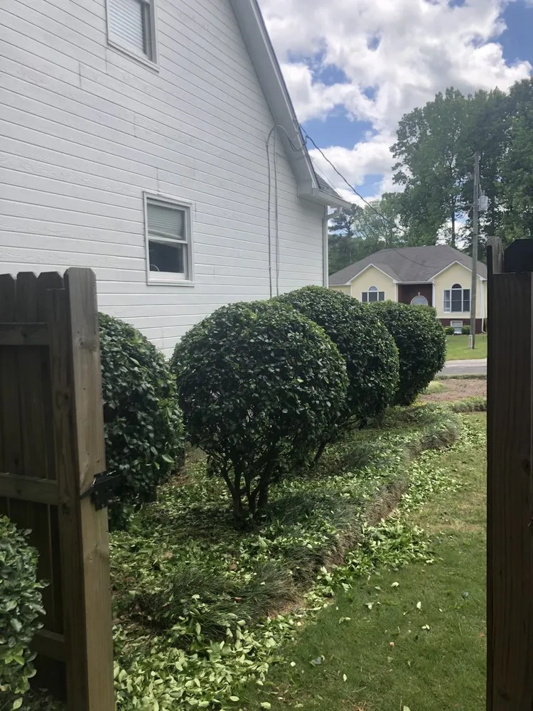 Custom lawn care service experts serving Alabaster, AL - Aguirre Lawn Care and Landscaping