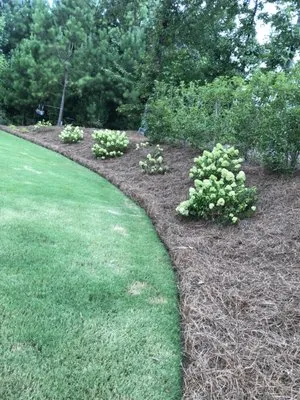 Aguirre Lawn Care and Landscaping