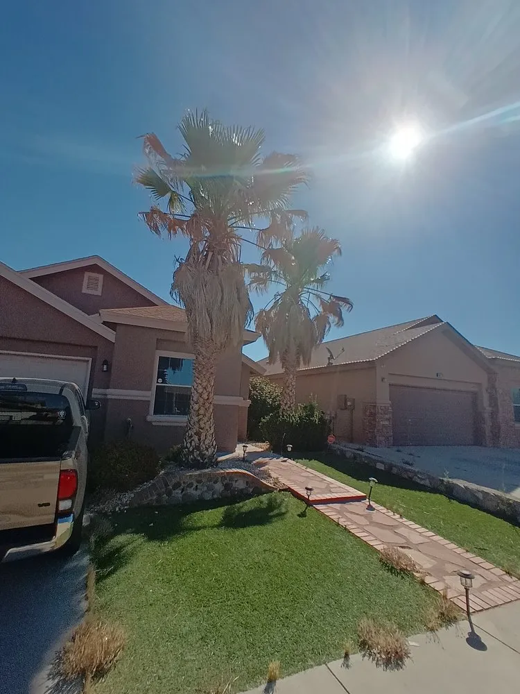 Top-rated landscaping services in El Paso, TX - Aguirre Lawn Service & Maintenance