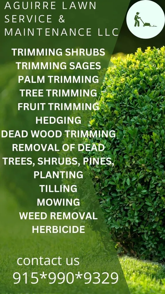 Expert lawn care service in El Paso, TX by Aguirre Lawn Service & Maintenance