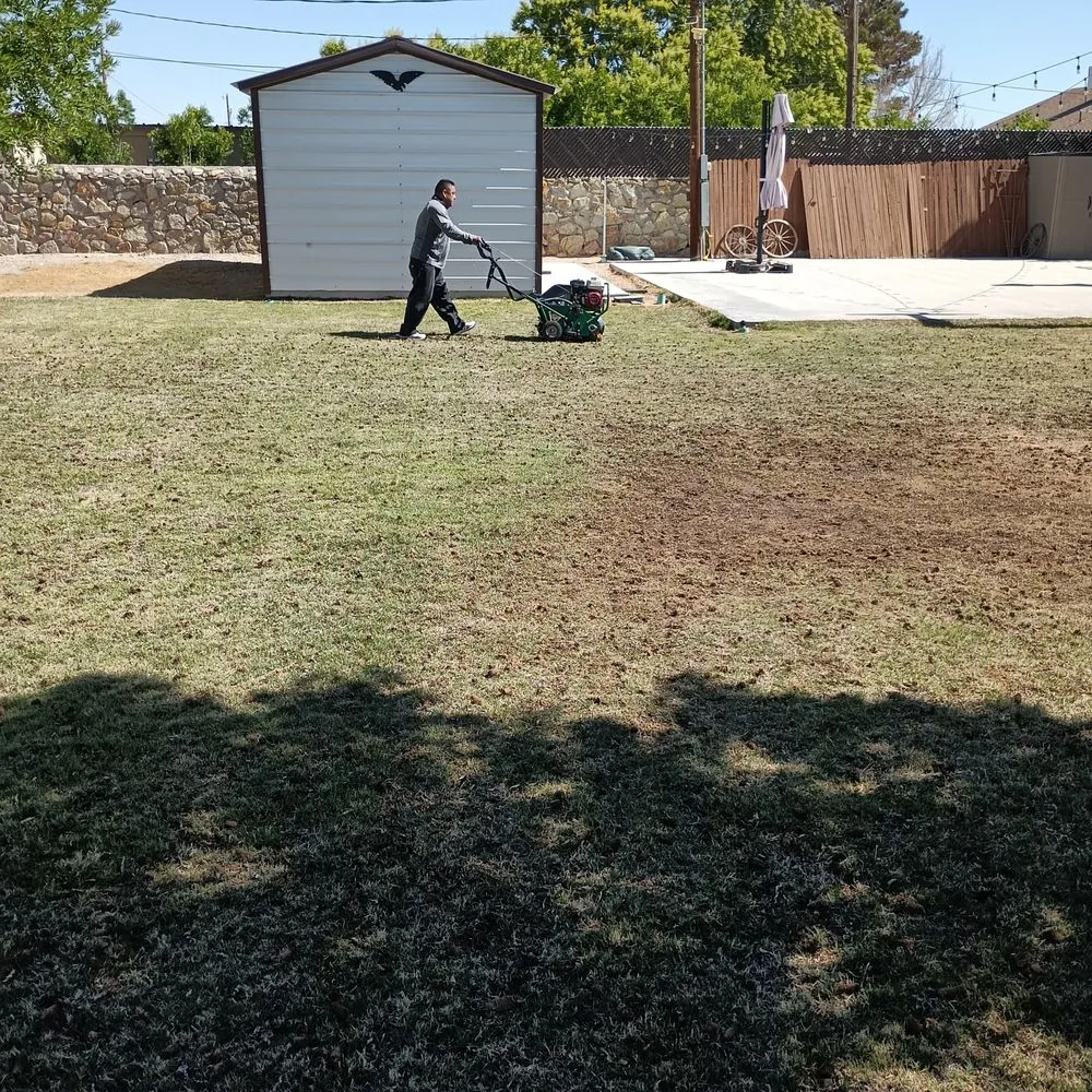Expert outdoor landscaping for beautiful yards in El Paso, TX by Aguirre Lawn Service & Maintenance