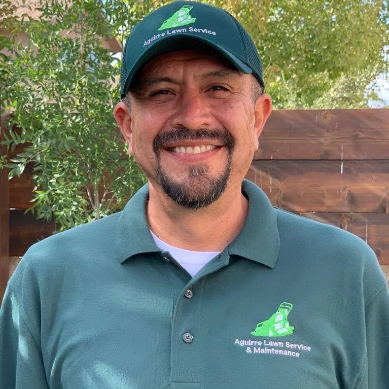 Local landscape installation for residential properties in El Paso, TX by Aguirre Lawn Service & Maintenance