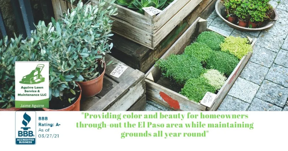 Expert yard maintenance in El Paso, TX - Aguirre Lawn Service & Maintenance
