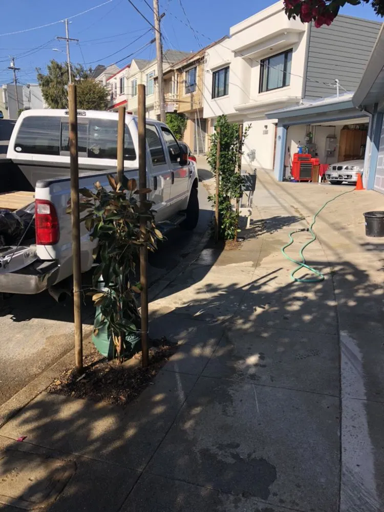 Affordable landscape design experts serving Richmond, CA - Aguirre’s Construction