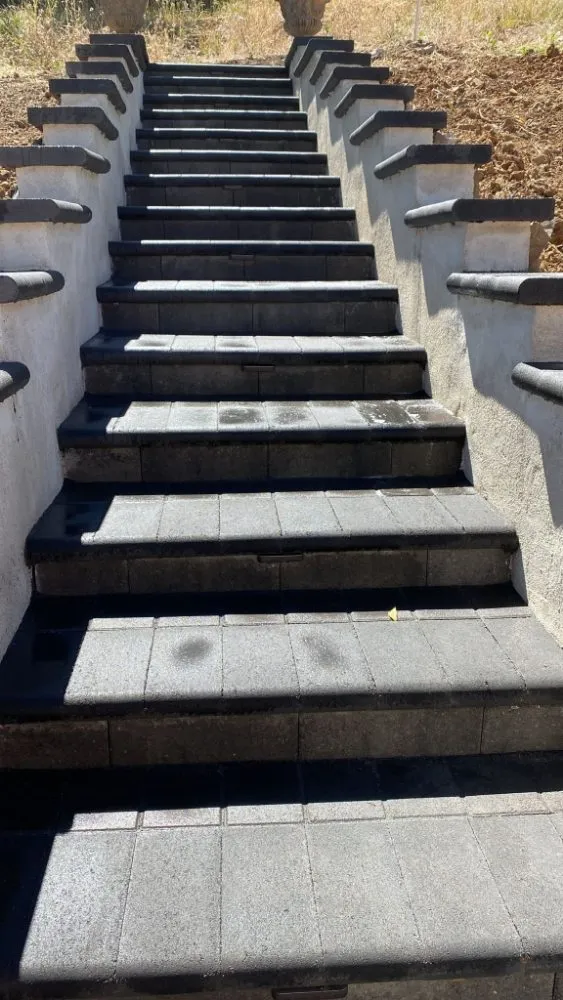 Professional landscaping services in Richmond, CA - Aguirre’s Construction