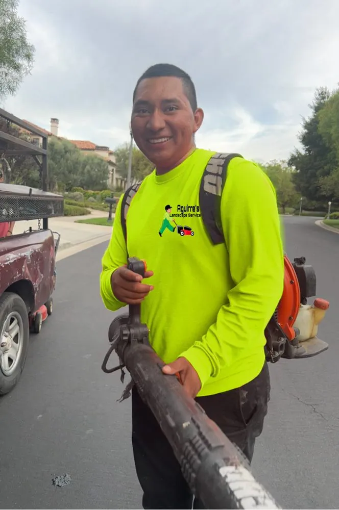 Expert outdoor landscaping for beautiful yards in Santa Clarita, CA by Aguirre’s Landscaping Service