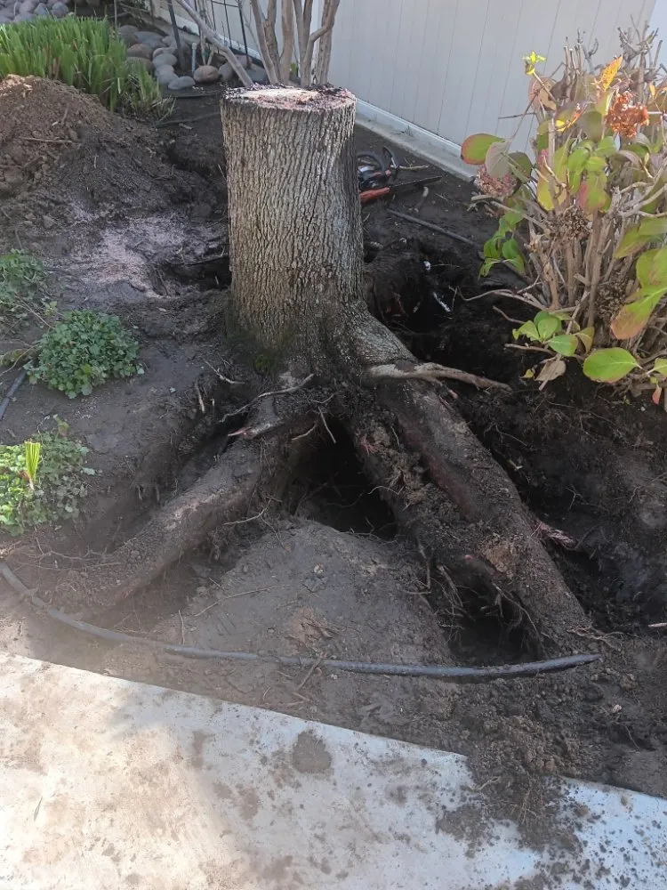 Reliable garden landscaping in Perris, CA - Aguivaz Landscape & LawnCare