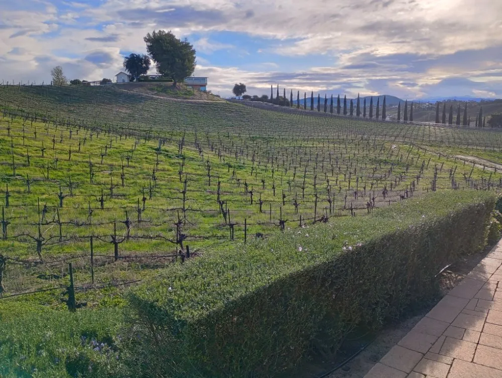 Custom outdoor landscaping in Perris, CA - Aguivaz Landscape & LawnCare