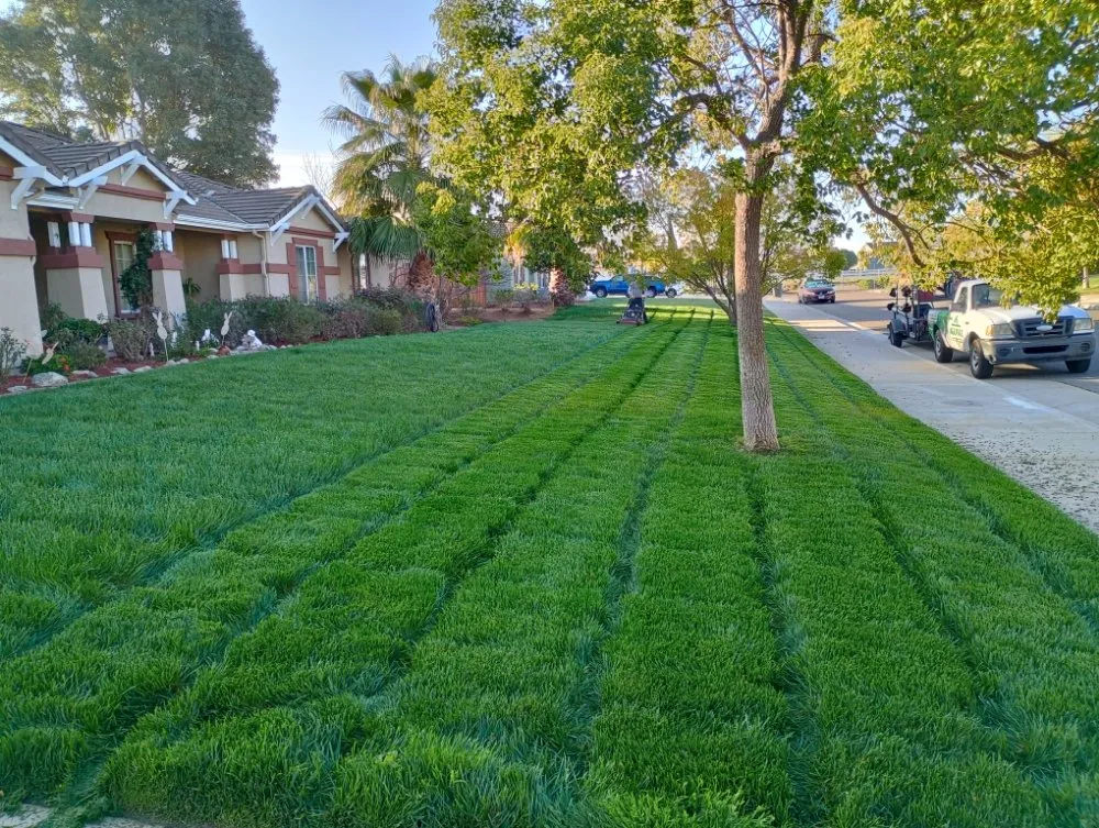 Affordable outdoor landscaping in Perris, CA by Aguivaz Landscape & LawnCare
