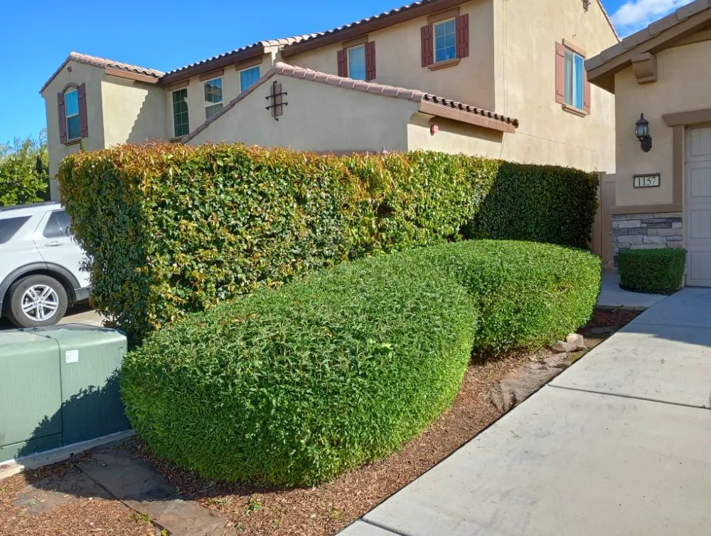 Local outdoor landscaping experts serving Perris, CA - Aguivaz Landscape & LawnCare