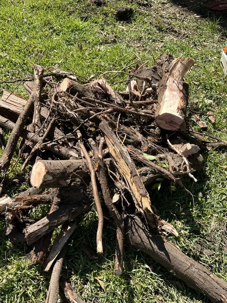 Affordable lawn care service for year-round maintenance across Escondido, CA - Agustin Francisco