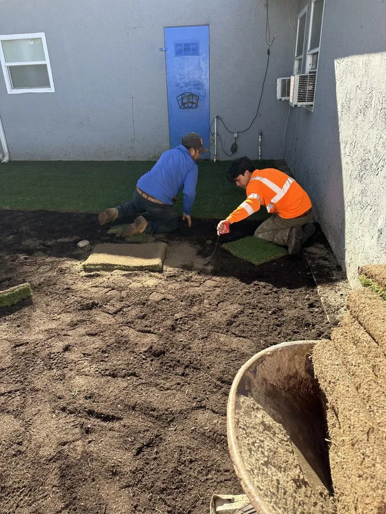 Professional yard maintenance for homes in Escondido, CA by Agustin Francisco