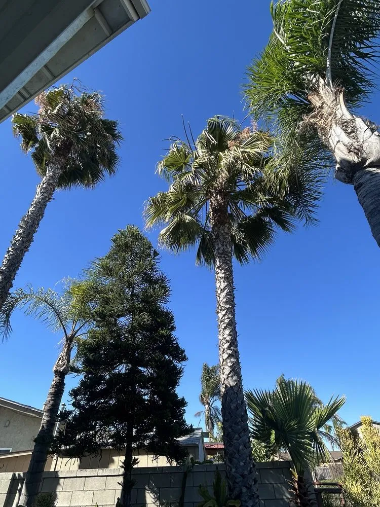 Custom outdoor landscaping for outdoor upgrades in Escondido, CA by Agustin Francisco