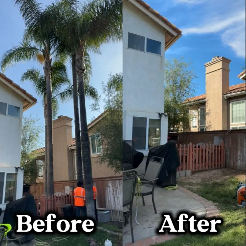 Professional garden landscaping experts serving Escondido, CA - Agustin Francisco