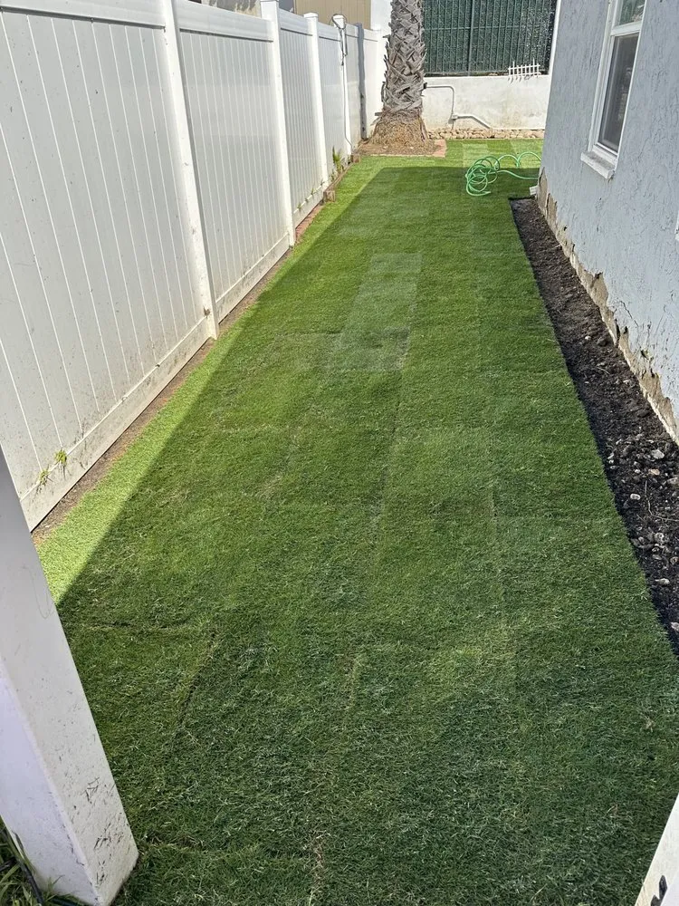 Affordable lawn mowing service in Escondido, CA by Agustin Francisco