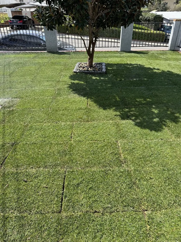Professional outdoor landscaping in Escondido, CA - Agustin Francisco