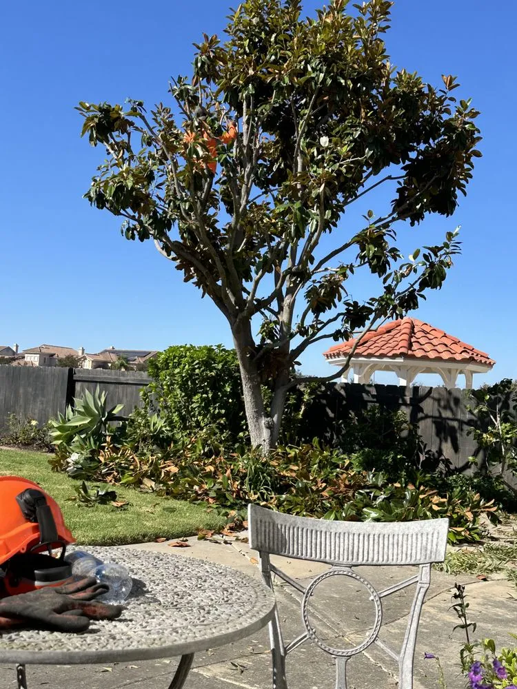 Top-rated outdoor landscaping experts serving Escondido, CA - Agustin Francisco