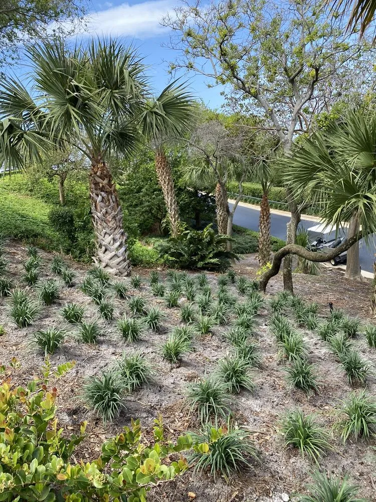 Professional outdoor landscaping experts serving Stuart, FL - Agustin Landscape