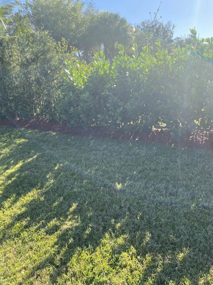 Local landscape installation in Stuart, FL by Agustin Landscape