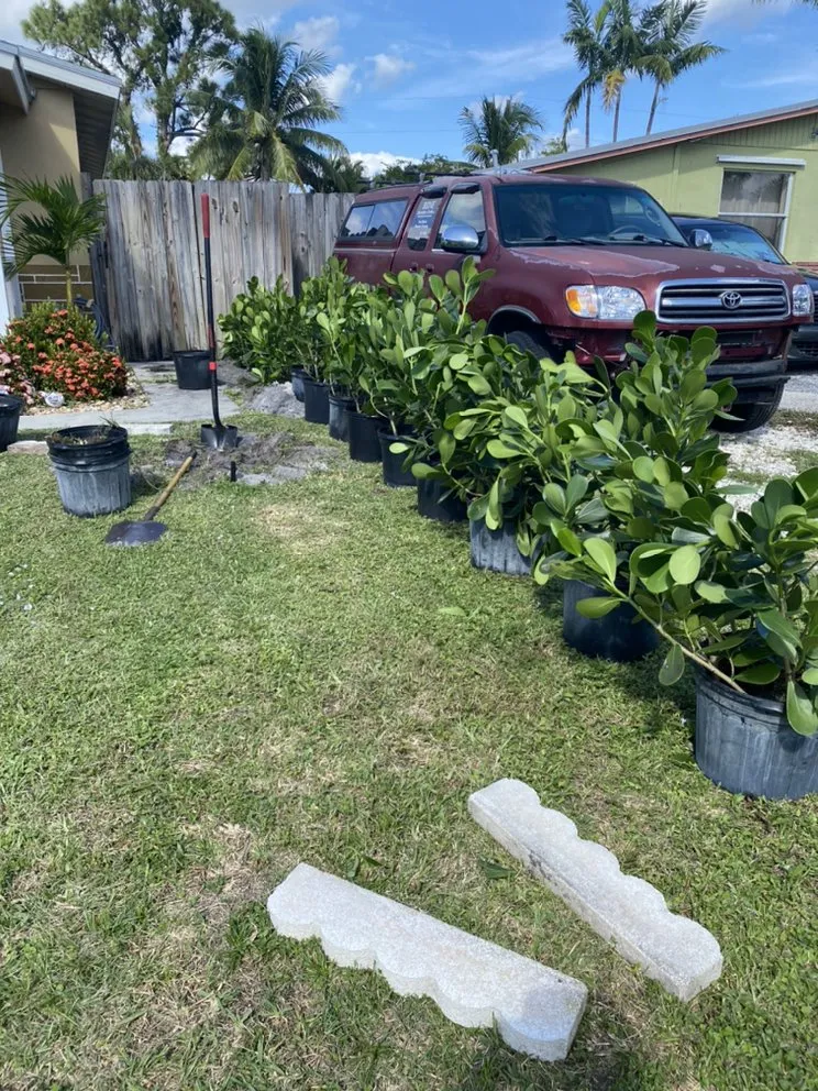 Local outdoor landscaping in Stuart, FL - Agustin Landscape