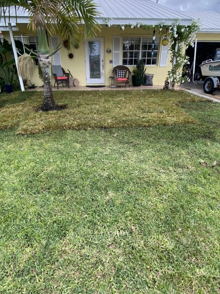 Expert lawn care service for residential properties across Stuart, FL - Agustin Landscape