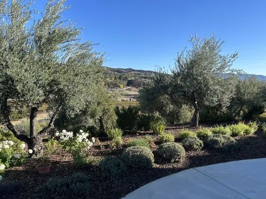 Agustin Landscaping Logo