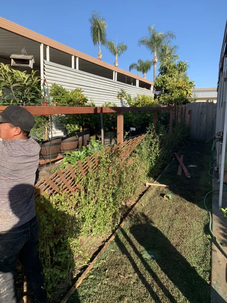 Professional outdoor landscaping with custom design across Vista, CA - Agustin Landscaping