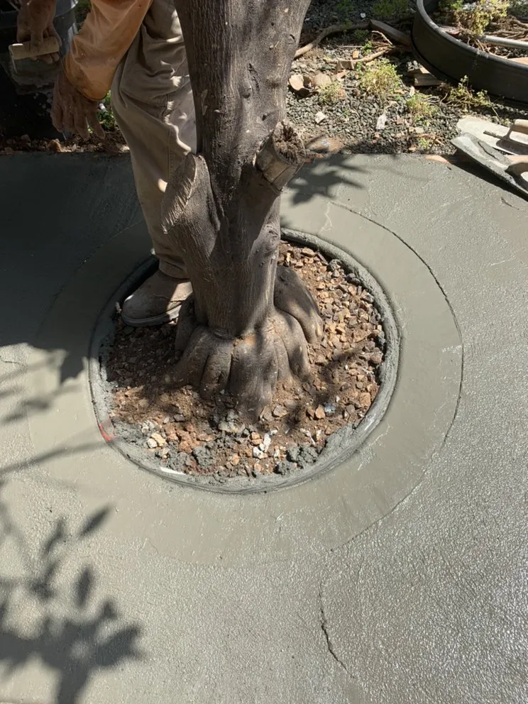 Reliable lawn mowing service in Vista, CA - Agustin Landscaping