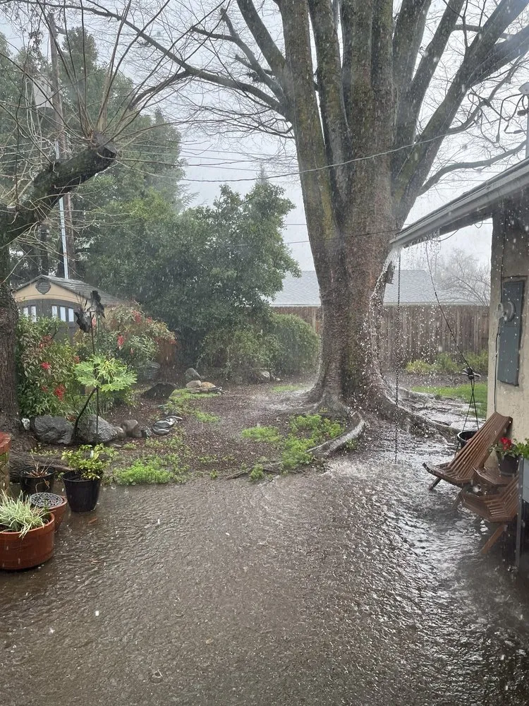 Affordable yard maintenance in Vista, CA - Agustin Landscaping